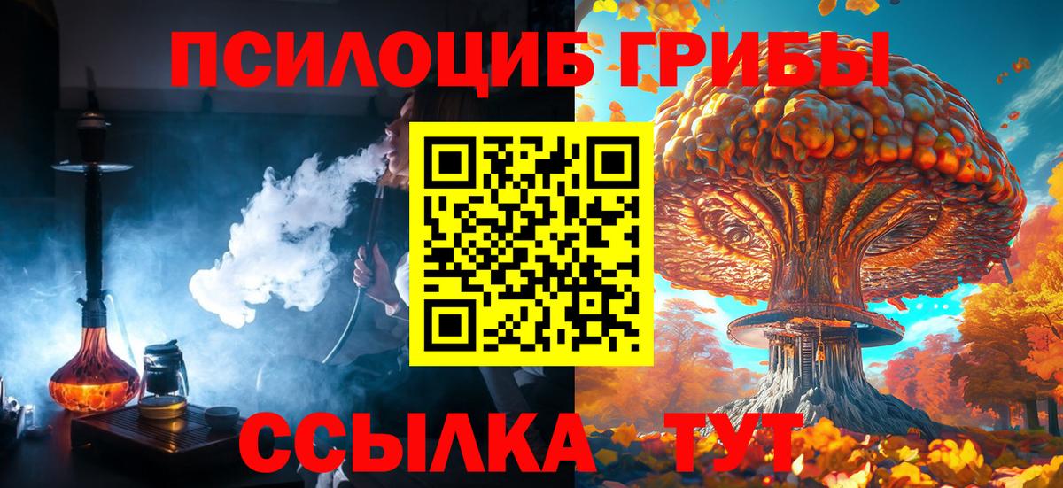 Михайловка  Галлюциногенные грибы MAGIC MUSHROOMS  Вход с VPN  как найти закладки  Псилоцибиновые грибы Magic Shrooms 